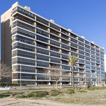 Ag Bermudas Deluxe *