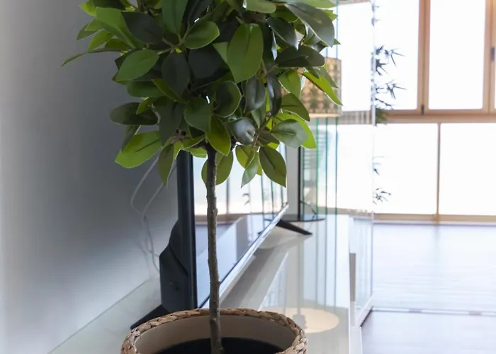 Apartamento Ag Bermudas Deluxe *