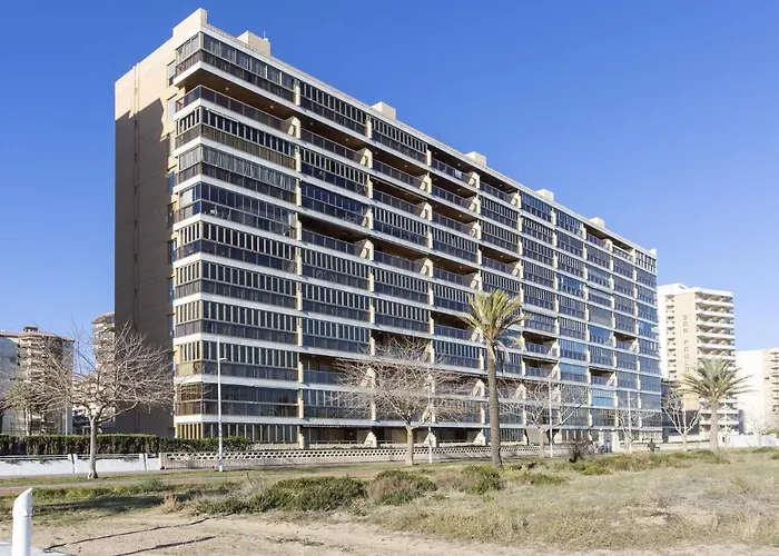 Ag Bermudas Deluxe *